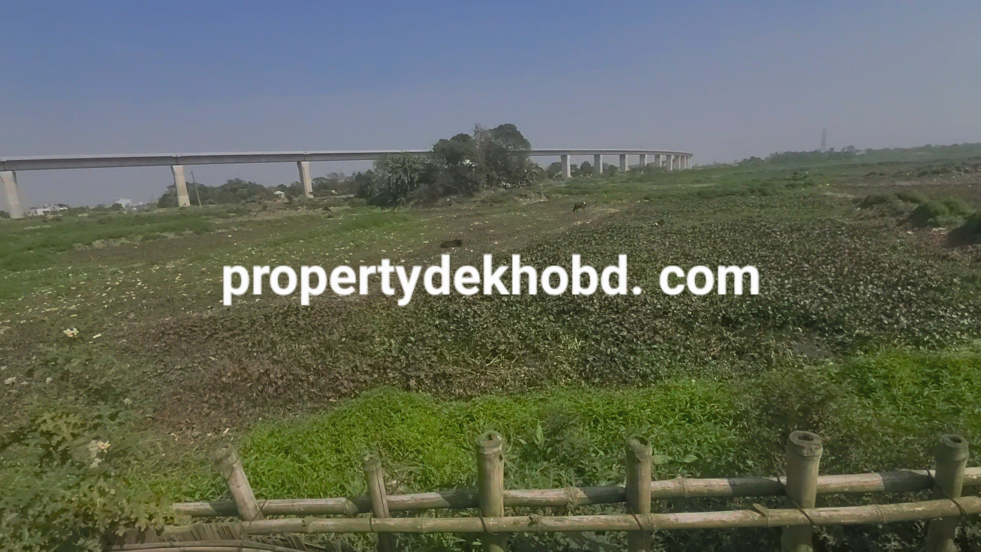 dkshin-keraneegnje-32-katha-plt-bikri-hbeland-for-sale-south-keraniganj-377599380742