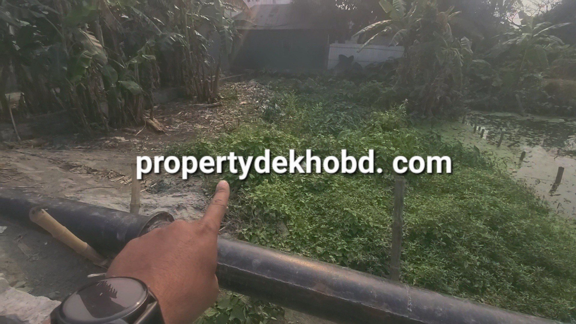 kacnnpur-bas-tarminal-pichne-3-katha-plt-bikri-hbe-land-for-sale-katchpur-179461332414