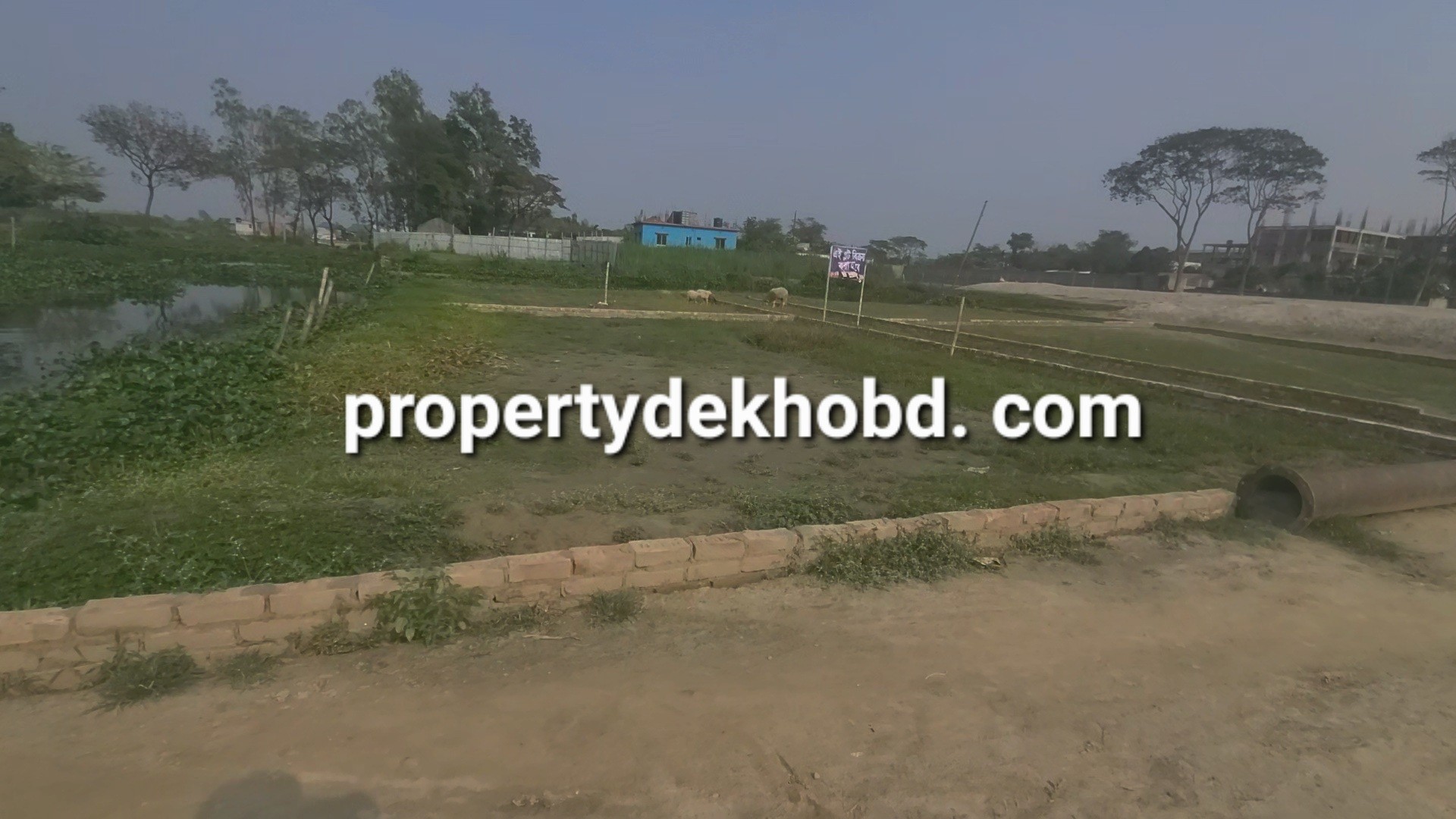 kacnnpur-bas-tarminal-pichne-3-katha-plt-bikri-hbe-land-for-sale-katchpur-240564261251