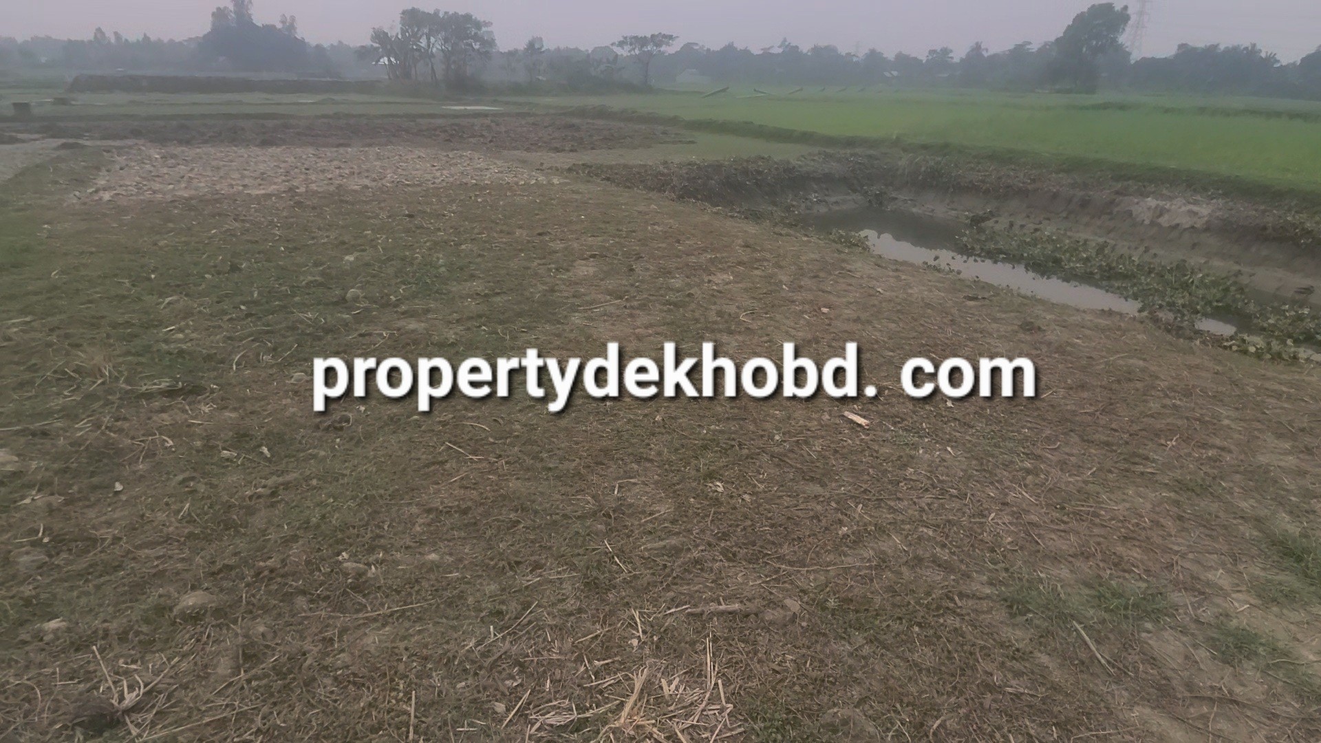 kacnnpure-333-kathar-plt-bikri-hbekm-damer-plt-plot-sale-katchpur-349758369443