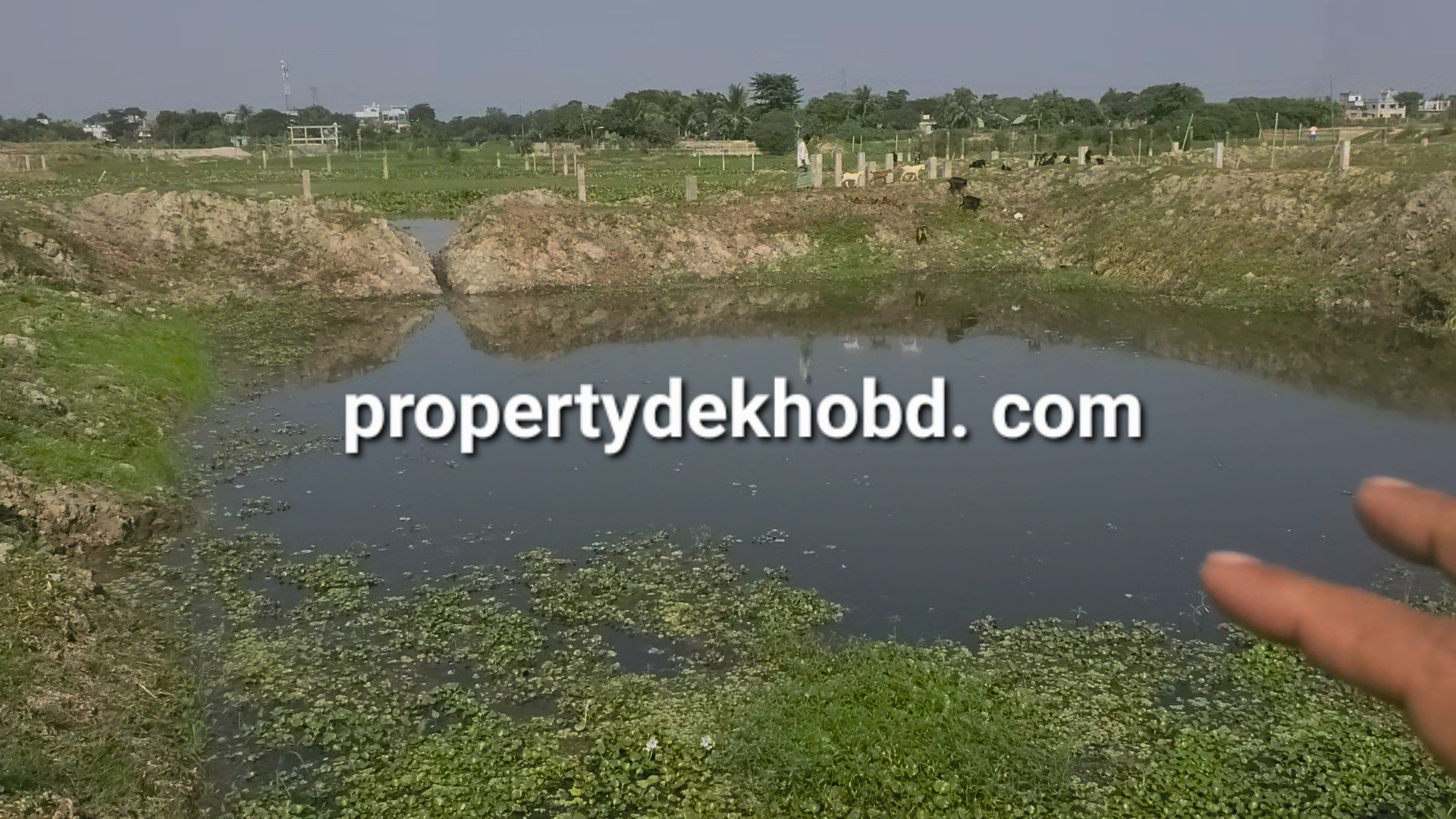 khilgannoo-gourngr-2133-kathar-plt-bikri-hbeplot-sale-in-khilgaon-gouranagar-385568105787