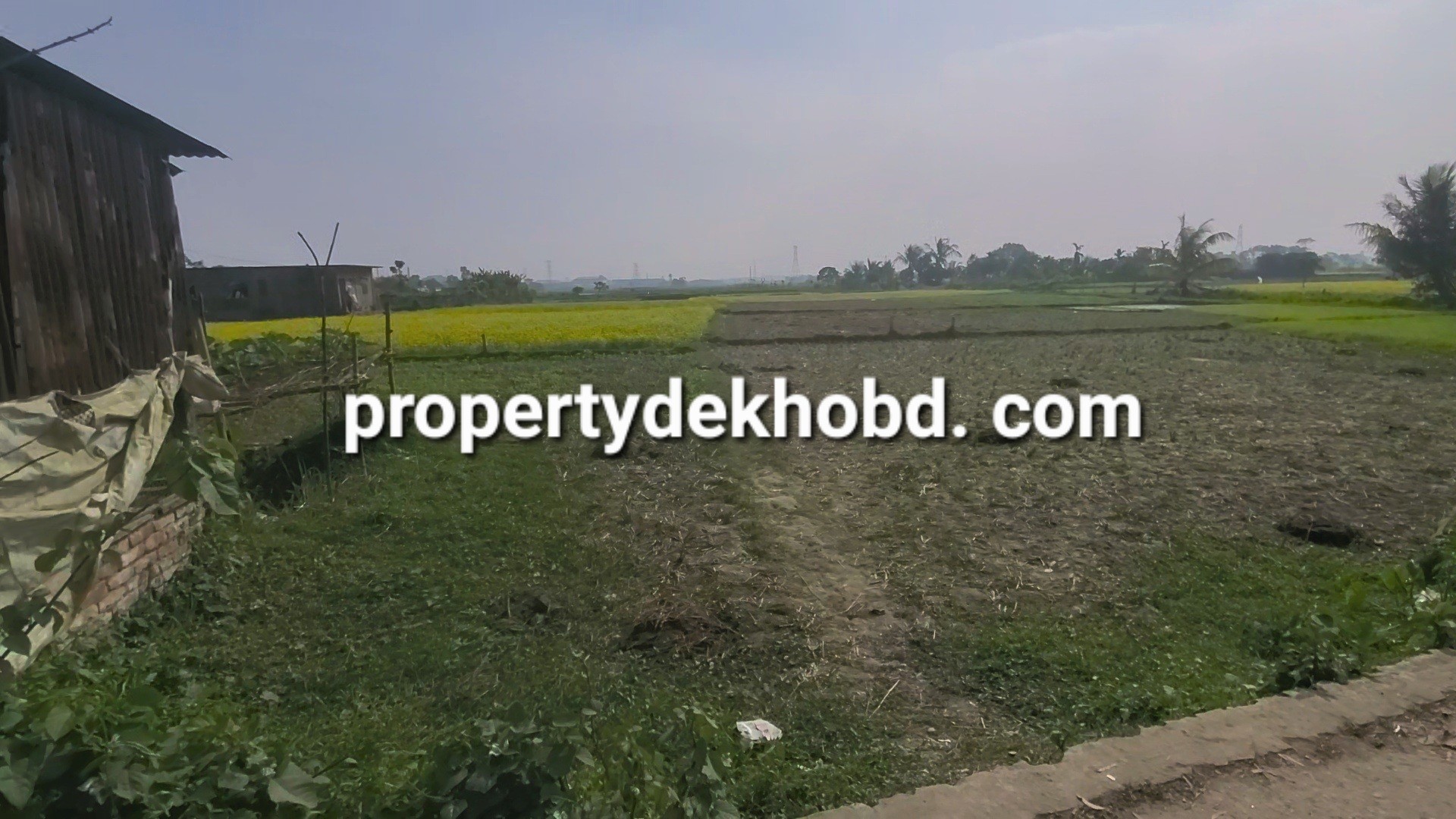 narayngnj-murapara-25-kathar-plt-bikri-hbe-bari-krar-plt-plot-for-sale-narayanganj-87827357363