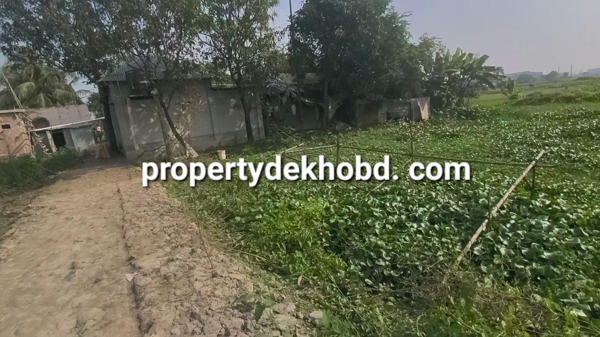 narayngnj-murapara-3-kathar-plt-bikri-hbe-bari-krar-plot-for-sale-narayanganj-48834526885