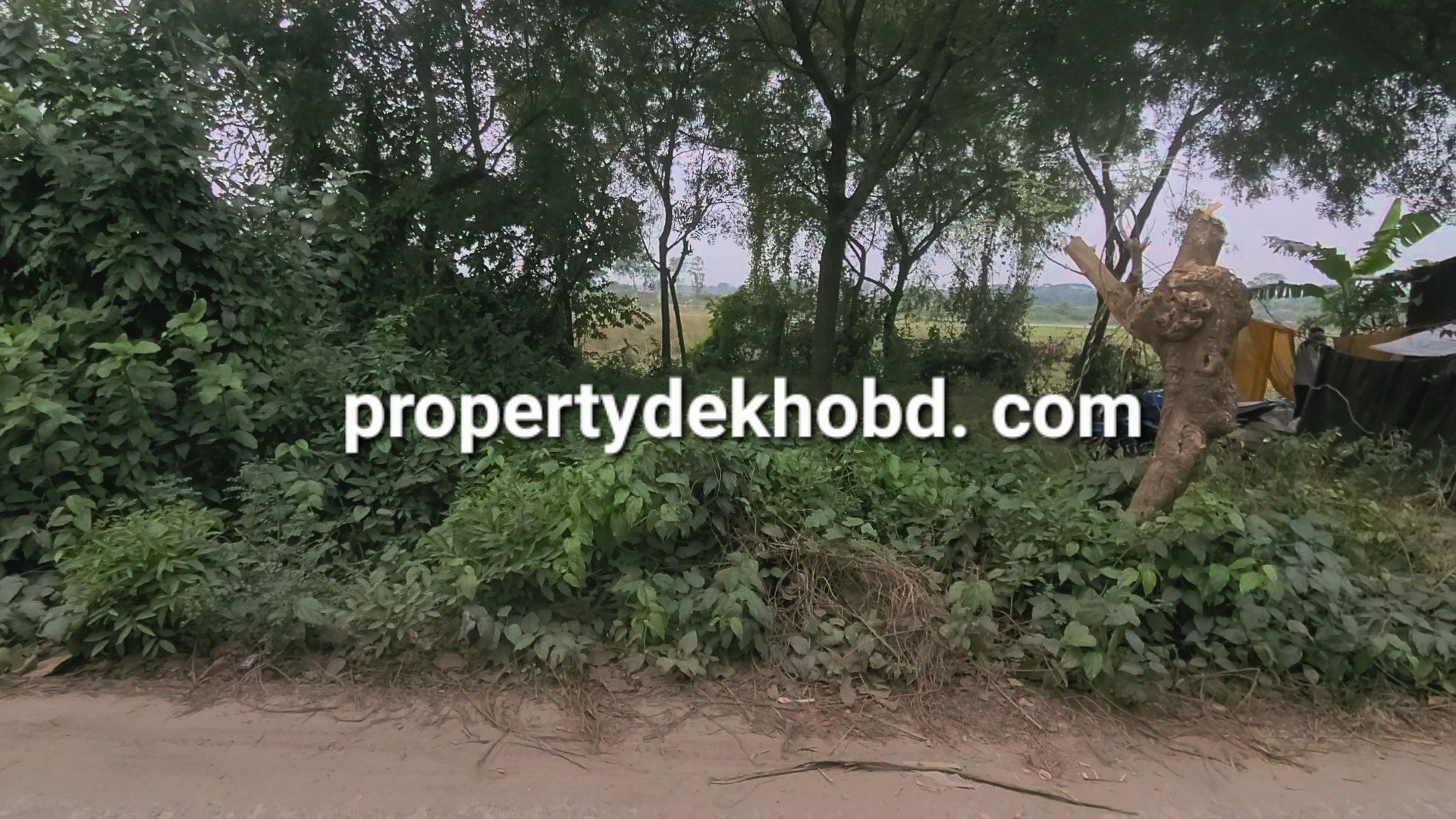 rupgnj-kayetpara-466-kathar-plt-bikri-hbe-plot-for-sale-purbachal-331400357526